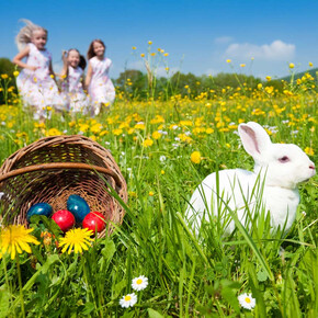 Vacanze di Pasqua in Trentino | © Adobe Stock